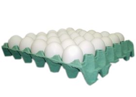 Ovos Brancos